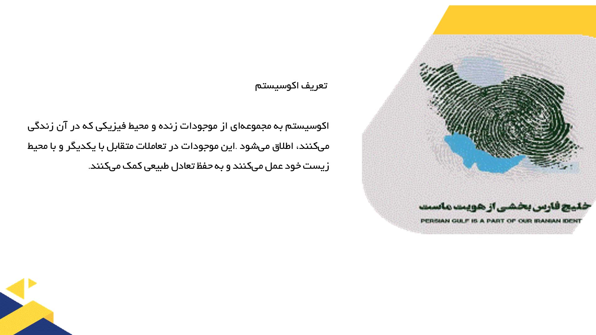 پاورپوینت در مورد بررسی تحولات تاریخی در اکوسیستم خلیج فارس